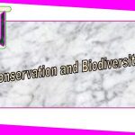 Conservation and Biodiversity